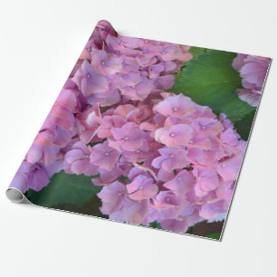 Pastel pink Hortensia hydrangea bloom Wrapping Paper