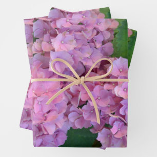 Pastel pink Hortensia hydrangea bloom Wrapping Paper Sheet