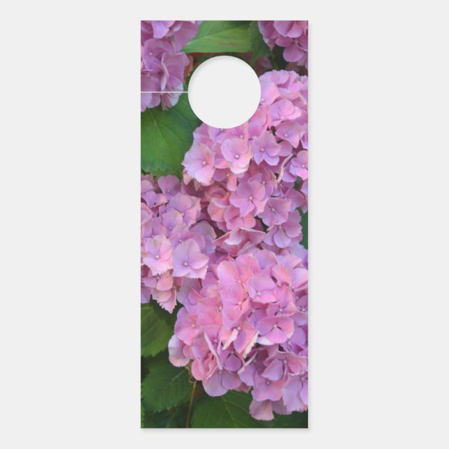 Pastel pink Hortensia hydrangea flowers  Door Hanger (Front)