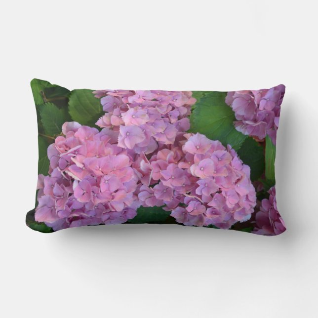 Pastel pink Hortensia hydrangea flowers   Lumbar Cushion (Front)
