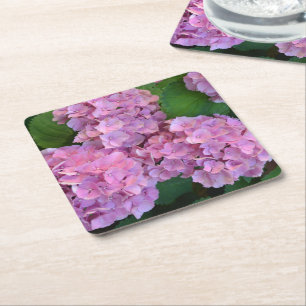 Pastel pink Hortensia hydrangea flowers Square Paper Coaster