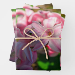 Pastel Pink Hyacinth (Hyacinthus) Flower Wrapping Paper Sheet