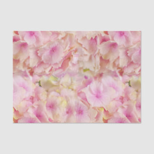 Pastel Pink Hydrangeas Tissue Paper