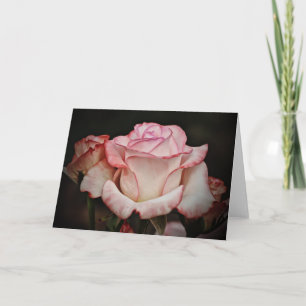 Pastel Pink Rose Note Card