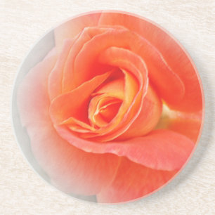 pastel pink shades coaster