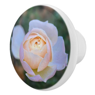 Pastel Pink Yellow Rose Ceramic Knob