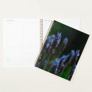 Pastel Purple Blue Lavender Flowers Planner