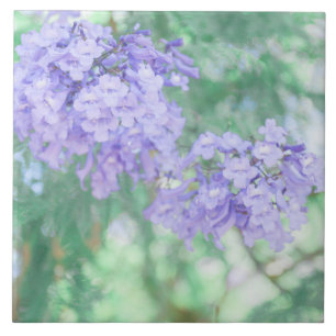 Pastel Purple Jacaranda Tree Flowers Ceramic Tile