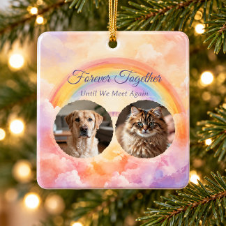Pastel Rainbow Bridge Two Pet Photo Memorial Ceramic Ornament