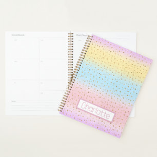 Pastel Rainbow Stripes Planner