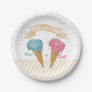 Pastel Retro Ice Cream Gender Reveal Party  Paper Plate