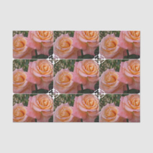 Pastel Roses Tissue Paper