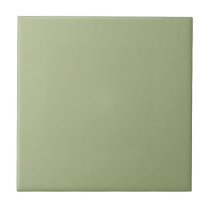 Pastel Sage Green Solid Colour Pairs To SW 6430 Ceramic Tile