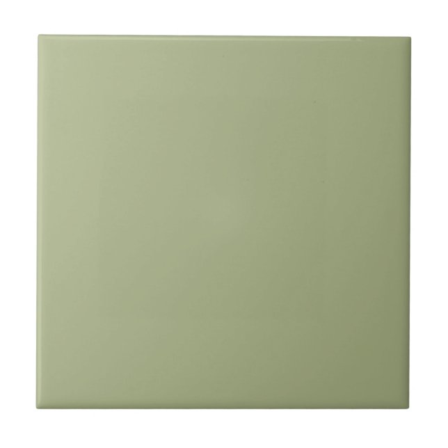Pastel Sage Green Solid Colour Pairs To SW 6430 Ceramic Tile (Front)