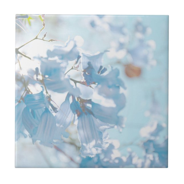 Pastel Soft Blue Jacaranda Tree Flowers Blossoms Ceramic Tile (Front)