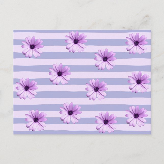 Pastel stripes pattern with Daisies Postcard (Front)