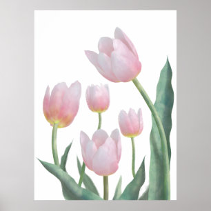 Pastel Tulip Floral Design Poster