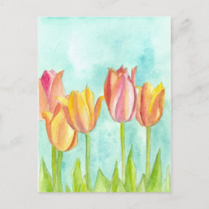 Pastel Tulip Watercolor Flowers Soft Pink Postcard