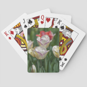 Pastel Tulips Playing Cards