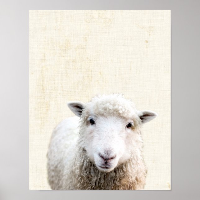 Pastel Yellow Peekaboo Sheep Minimalist Nursery Poster (Front)
