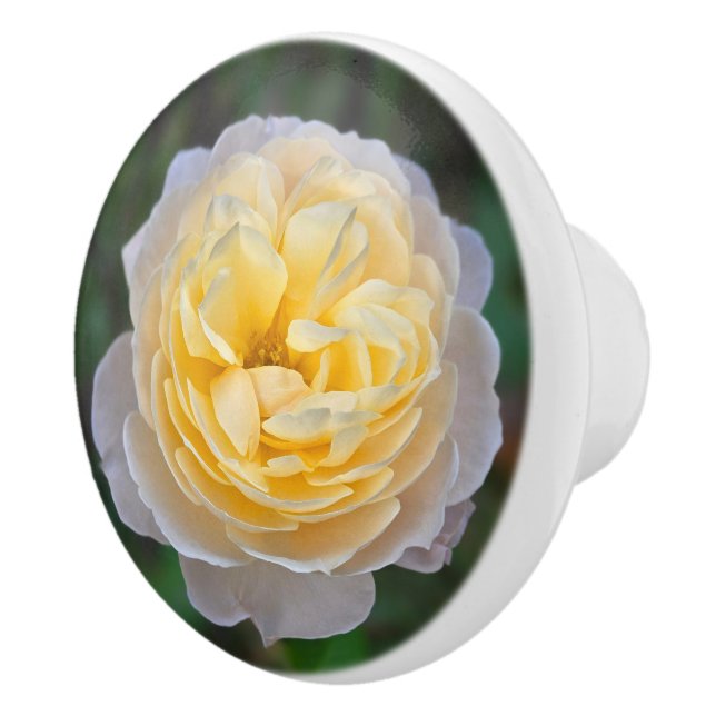 Pastel Yellow Pink Rose Ceramic Knob (Right)