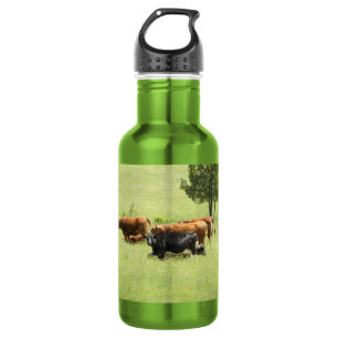 Pastoral 532 Ml Water Bottle