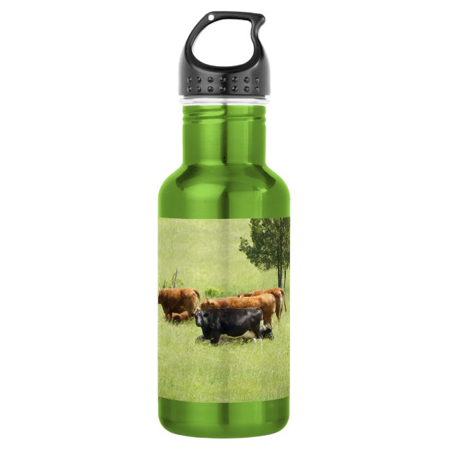 Pastoral 532 Ml Water Bottle (Front)