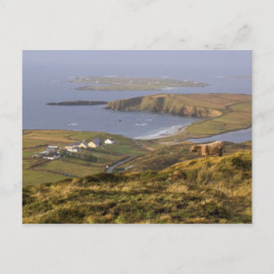 Pastoral Irish Coast Postcard