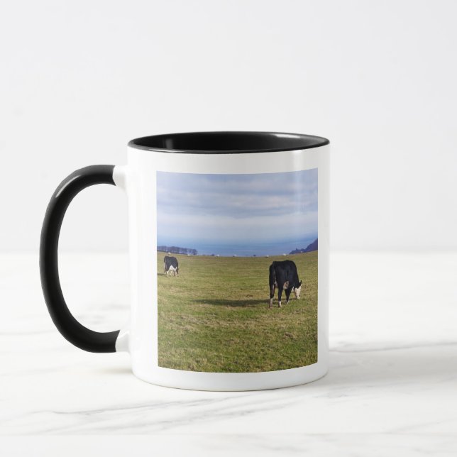 Pastoral scene of cows in field overlooking mug (Left)