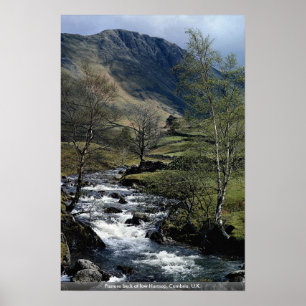 Pasture beck at low Hartsop, Cumbria, U.K. Poster