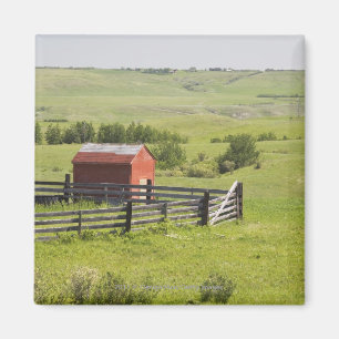 Pasture Fields With A Red Shack And A Fenced Area Magnet