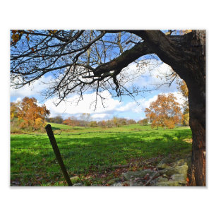 Pasture in Autumn Photo Print