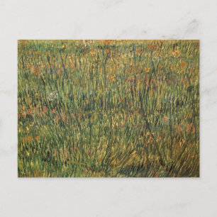 Pasture in Bloom by Vincent van Gogh, Vintage Art Postcard