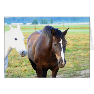 Pasture Mates
