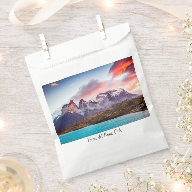 Patagonia Favour Bag (Clipped)