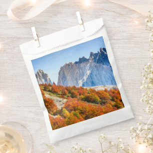 Patagonia Favour Bag