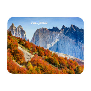 Patagonia Magnet