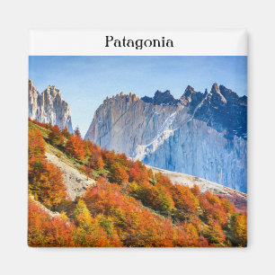 Patagonia Magnet