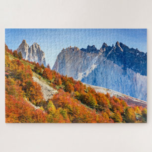 Patagonia Puzzle