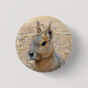 PATAGONIAN MARA 3 CM ROUND BADGE