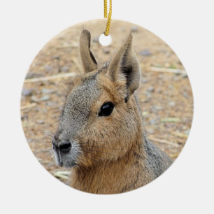 PATAGONIAN MARA   CERAMIC ORNAMENT