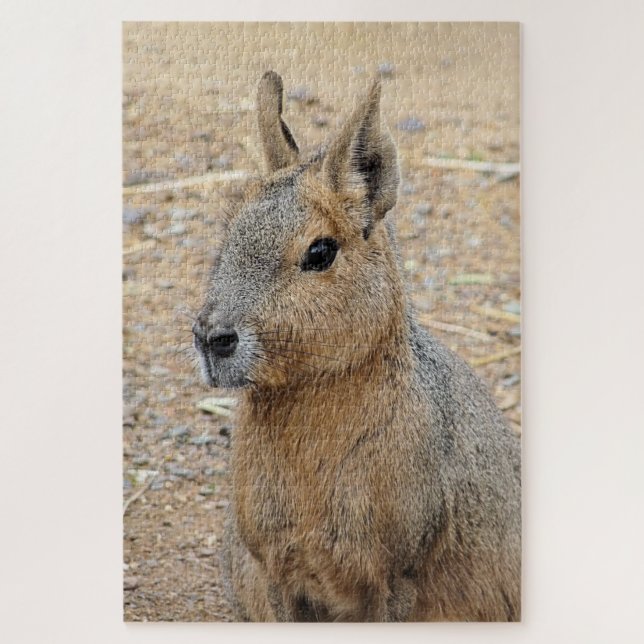 PATAGONIAN MARA JIGSAW PUZZLE (Vertical)