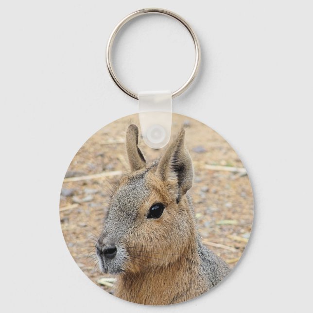 PATAGONIAN MARA   KEY RING (Front)