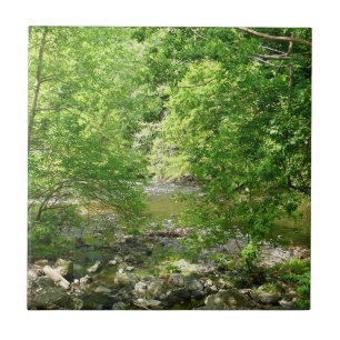 Patapsco River View Maryland Nature Photography Ceramic Tile