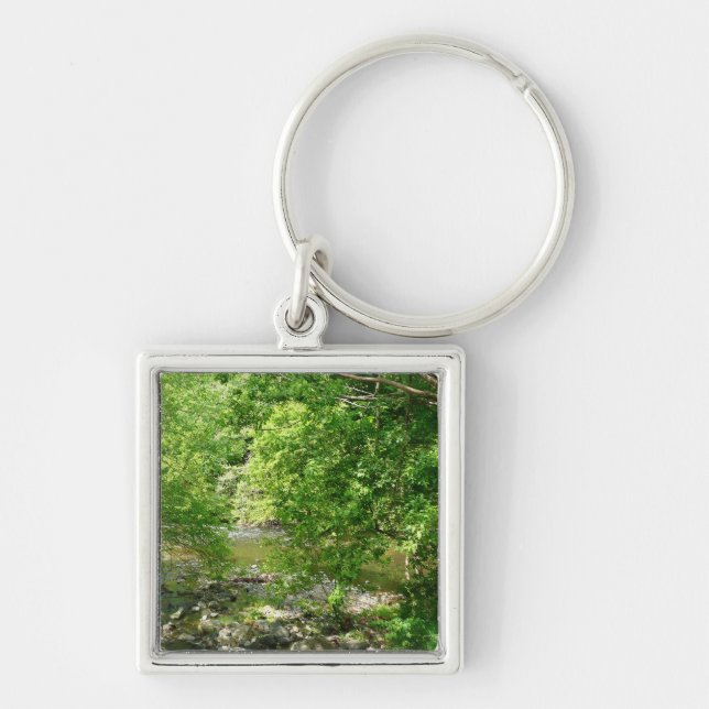Patapsco River View Maryland Nature Photography Key Ring (Front)
