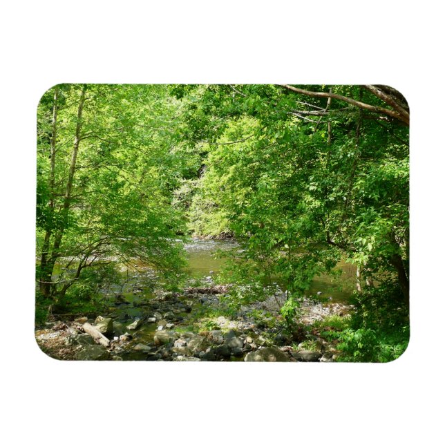 Patapsco River View Maryland Nature Photography Magnet (Horizontal)