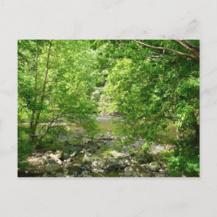 Patapsco River View Maryland Nature Photography Postcard