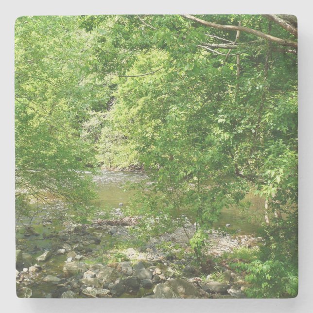 Patapsco River View Maryland Nature Photography Stone Coaster (Front)