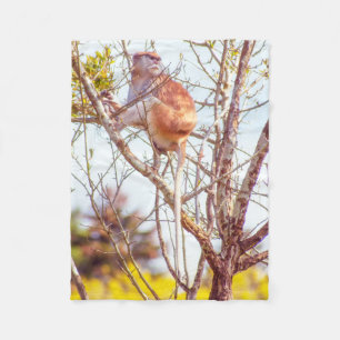 Patas is Up a Tree Fleece Blanket