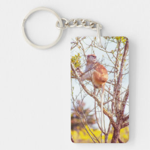 Patas is Up a Tree Key Ring